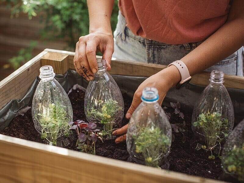 Một cách tái chế chai nhựa trồng cây khác